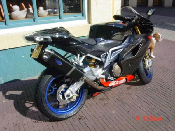 Carbon "Delta-EVO 3" zweiflutig